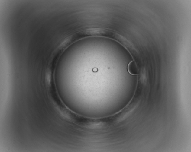 X0000113150206200909111001