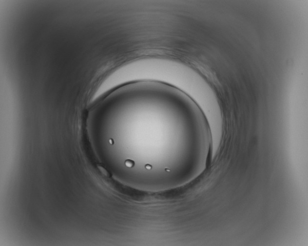 X0000113150207200909111001