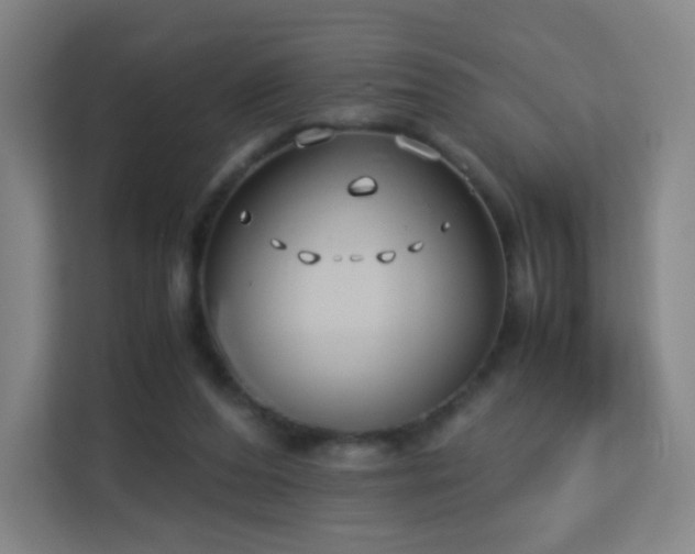 X0000113150208200909111001