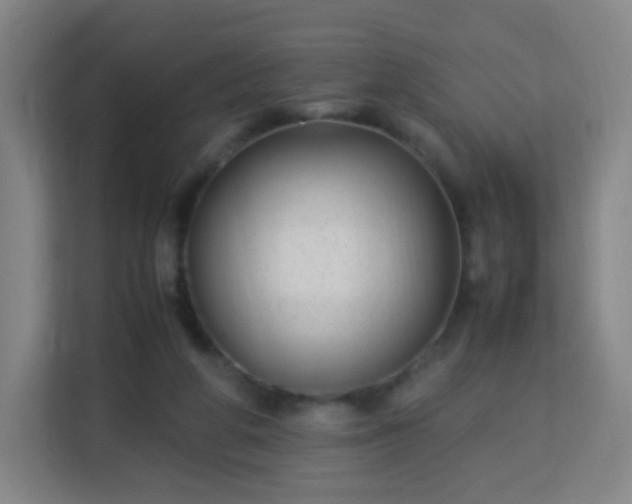 X0000113150210200909111001