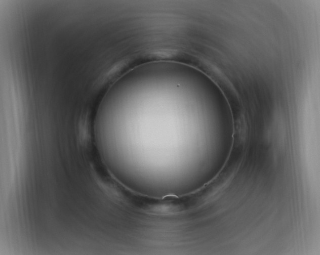 X0000113150212200909111001