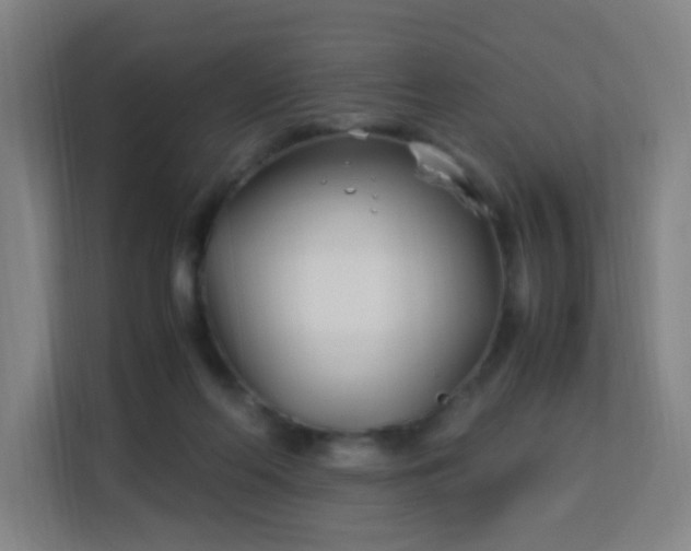 X0000113150214200909111001