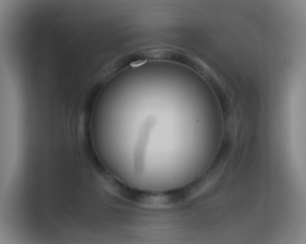 X0000113150217200909111001