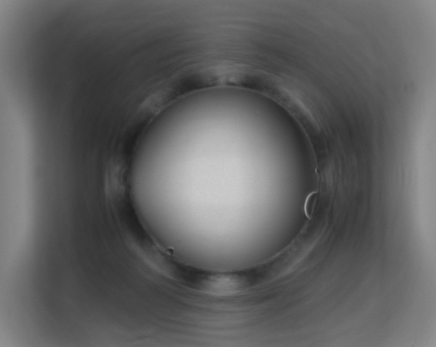 X0000113150218200909111001