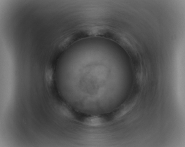 X0000113150219200909111001