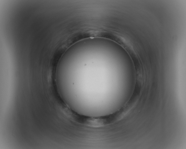 X0000113150221200909111001