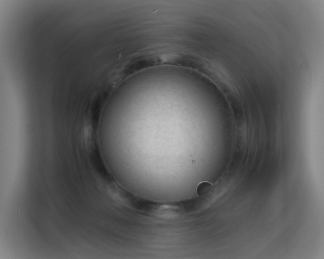 X0000113150222200909111001