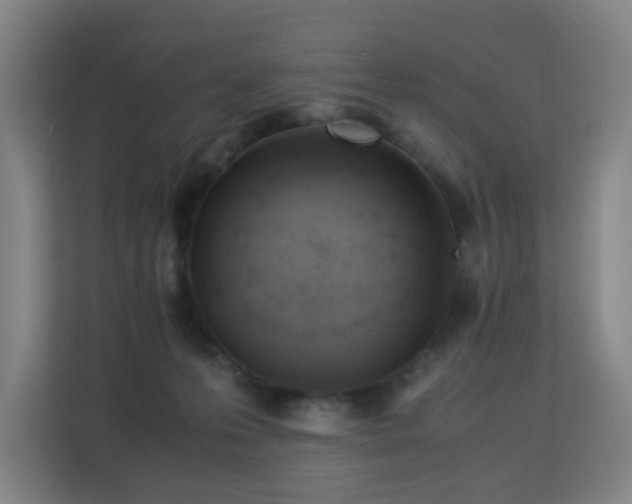 X0000113150223200909111001