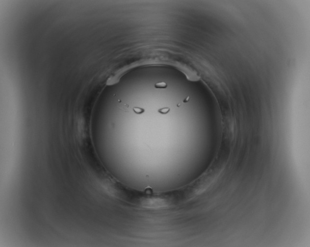 X0000113150224200909111001