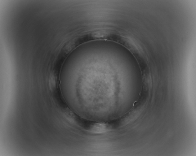 X0000113150227200909111001