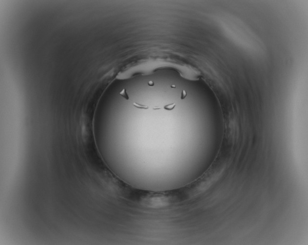 X0000113150228200909111000