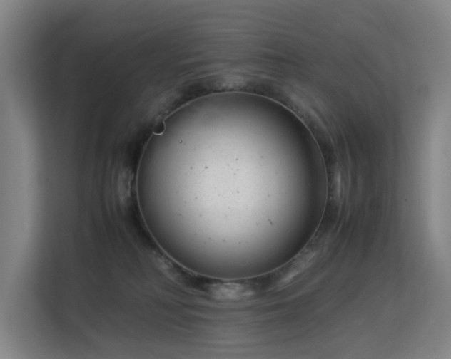 X0000113150230200909111000