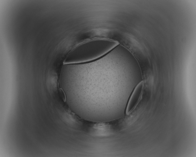 X0000113150231200909111000