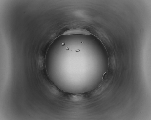 X0000113150232200909111000