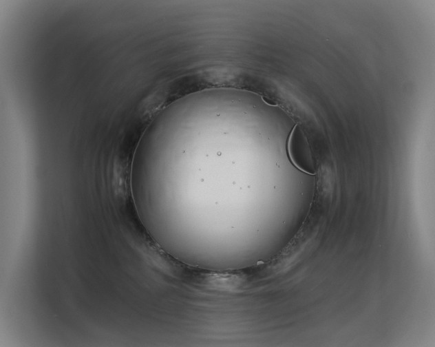 X0000113150234200909111000