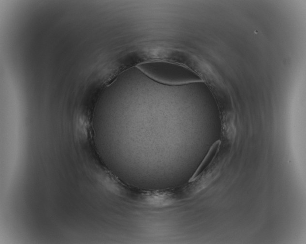 X0000113150235200909111000