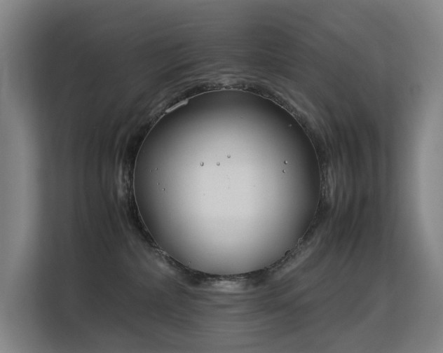 X0000113150236200909111000