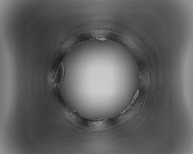 X0000113150237200909111000