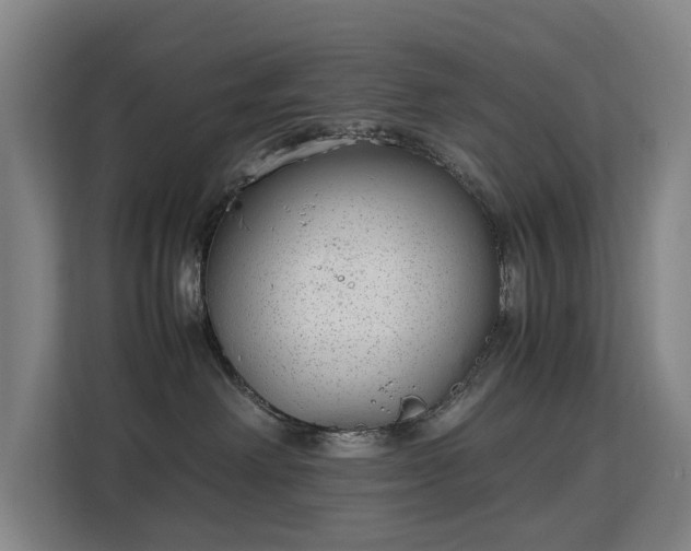 X0000113150238200909111000