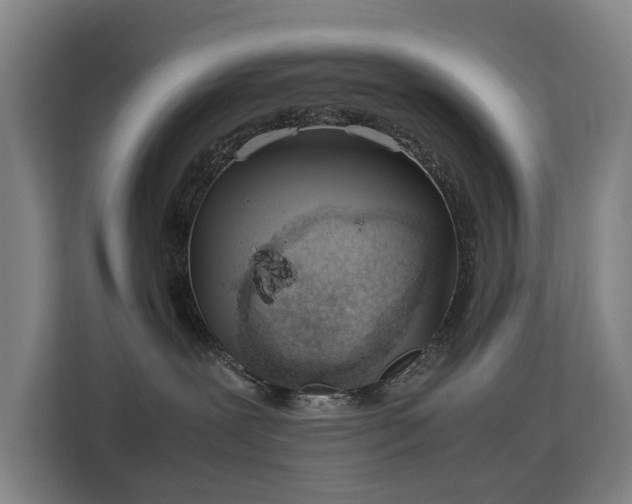 X0000113150239200909111000