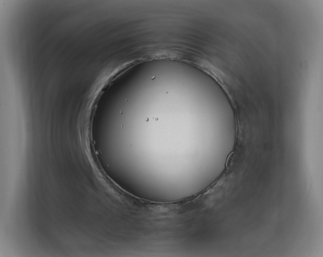 X0000113150241200909110959