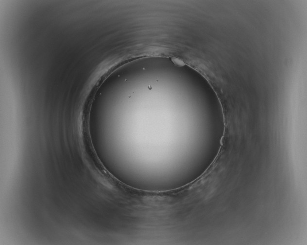 X0000113150242200909110959