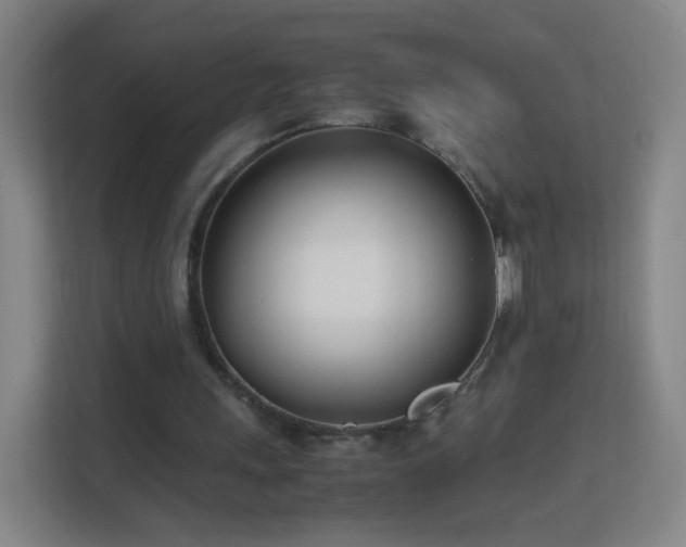 X0000113150243200909110959