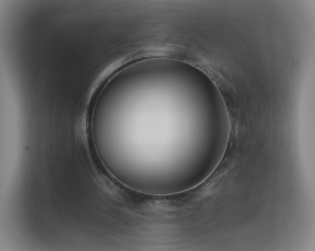 X0000113150244200909111000