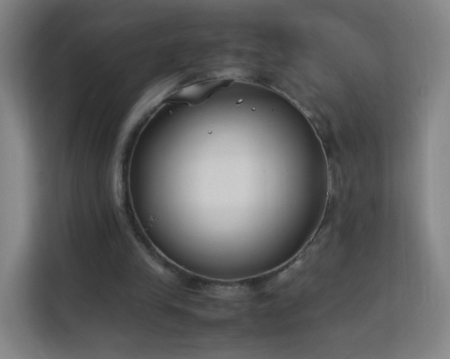 X0000113150245200909111000