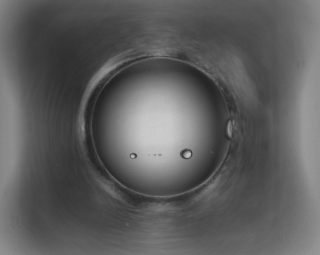 X0000113150246200909111000