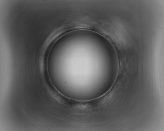 X0000113150247200909111000