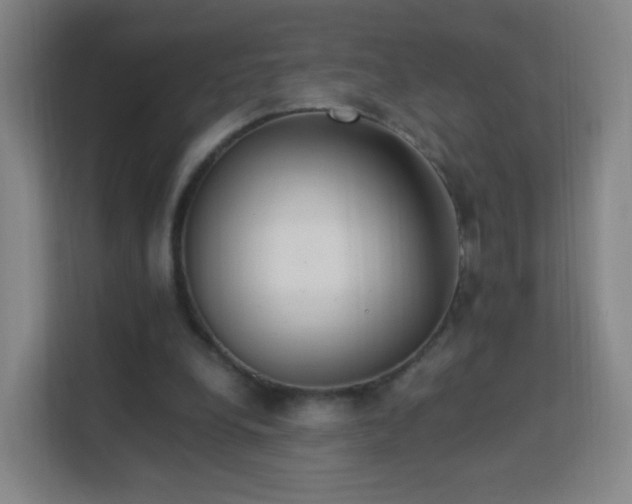 X0000113150248200909111000