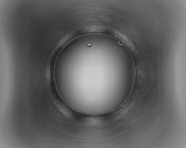 X0000113150250200909111000