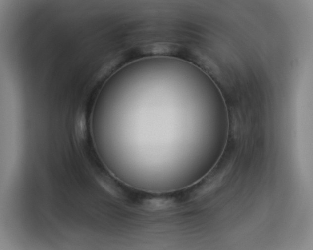 X0000113150251200909111000