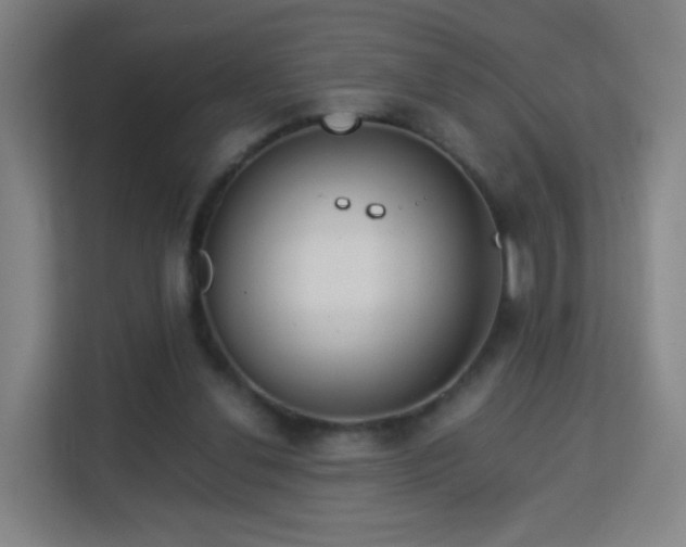 X0000113150252200909111000