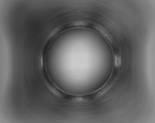 X0000113150253200909111000