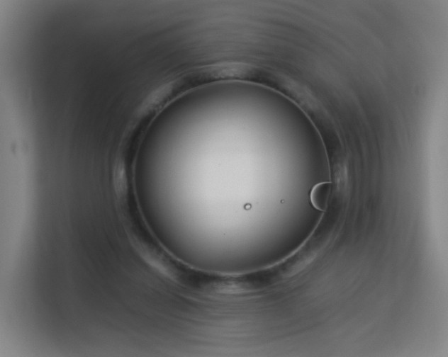 X0000113150254200909111000