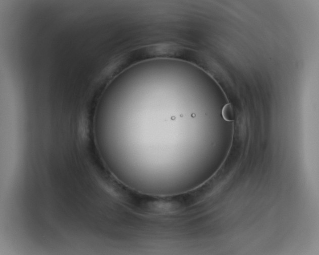 X0000113150255200909111000