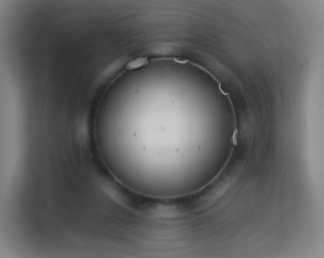 X0000113150256200909111000