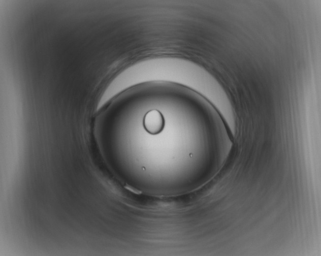 X0000113150260200909111000