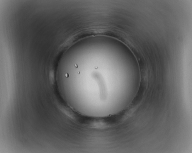 X0000113150262200909111000