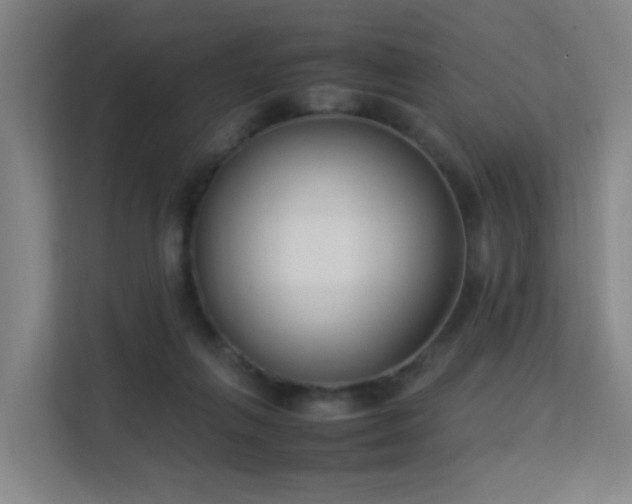 X0000113150263200909111000