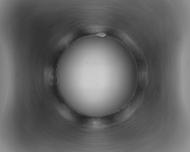 X0000113150264200909111000