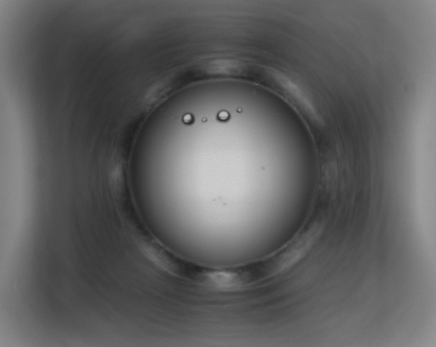 X0000113150265200909111000