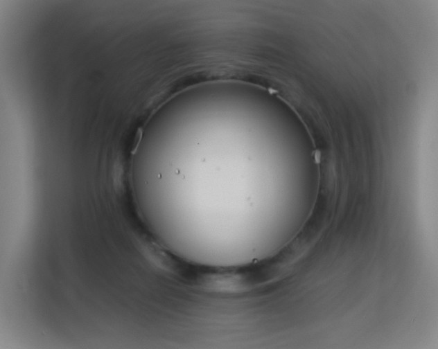 X0000113150266200909111000