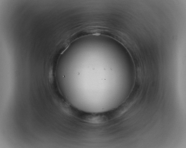 X0000113150267200909111000