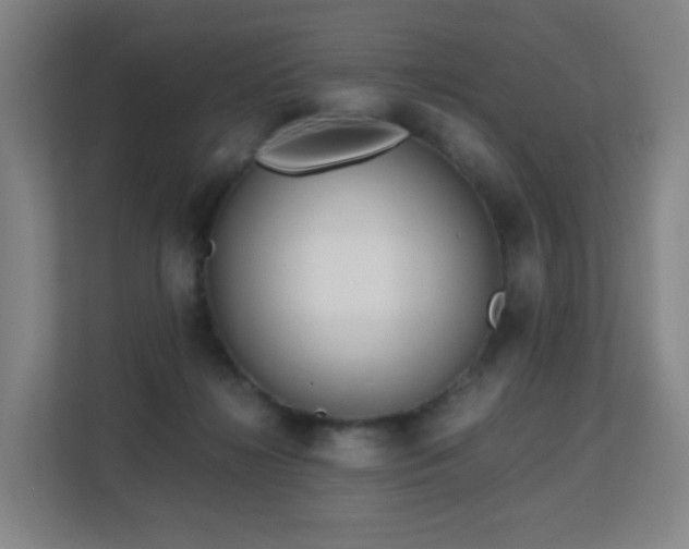 X0000113150268200909111000