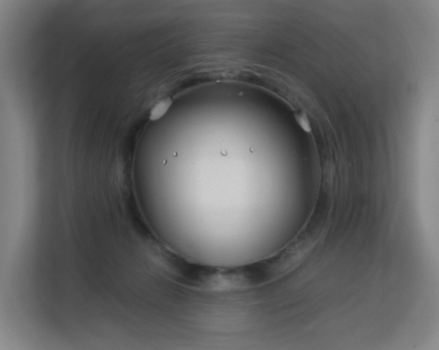 X0000113150270200909111000