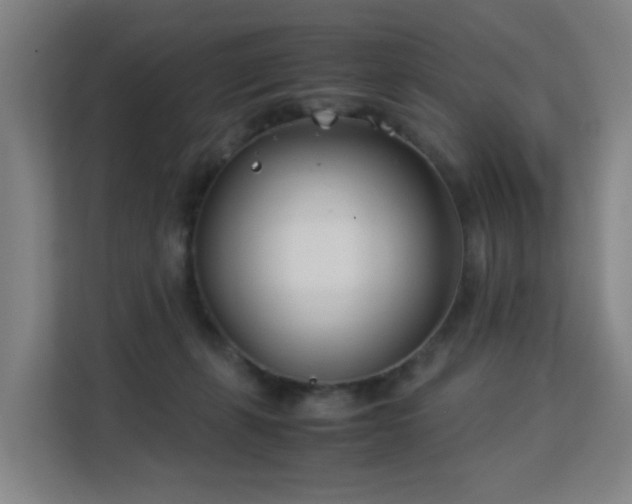 X0000113150271200909111000