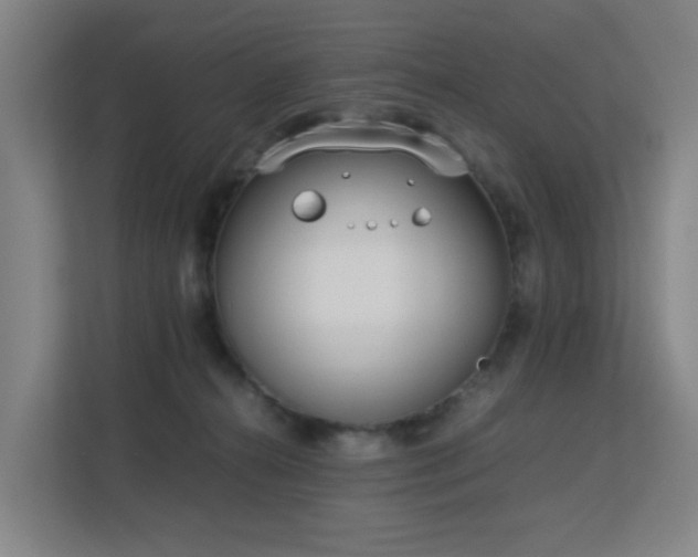 X0000113150272200909111000